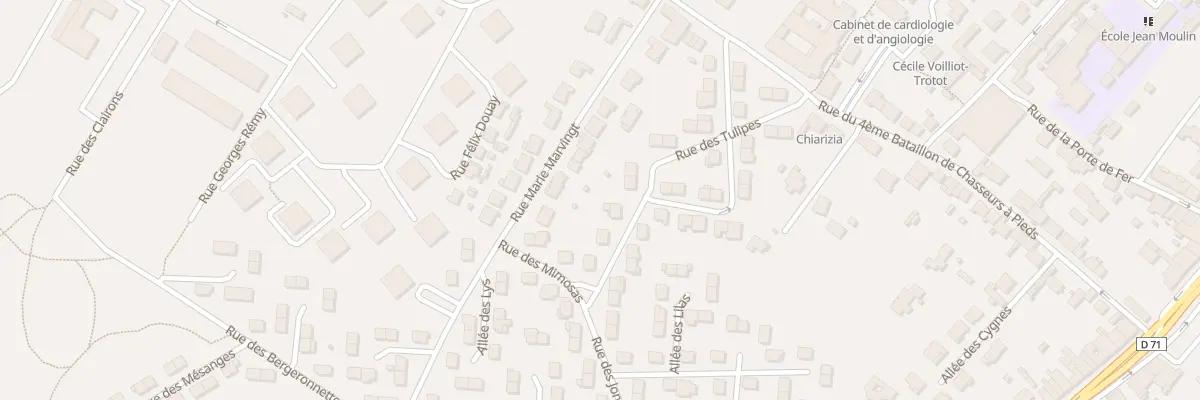 Plan du 2 Rue des Jonquilles à Saint-Nicolas-de-Port