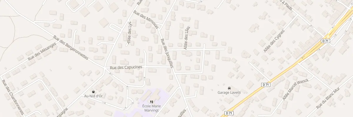 Plan du 17 Rue des Jonquilles à Saint-Nicolas-de-Port
