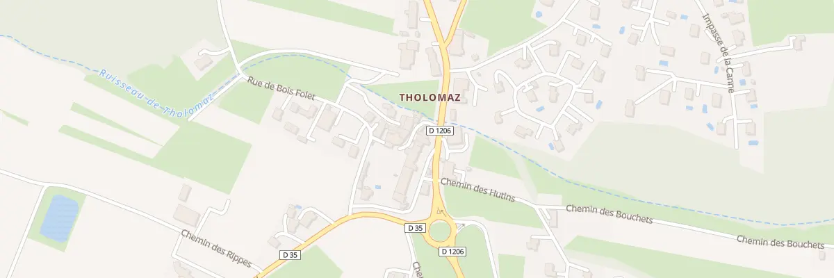Plan du 39 Pas de Tholomaz à Loisin