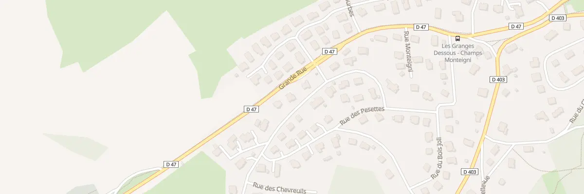 Plan du 29 Rue des Pesettes à Granges-Narboz