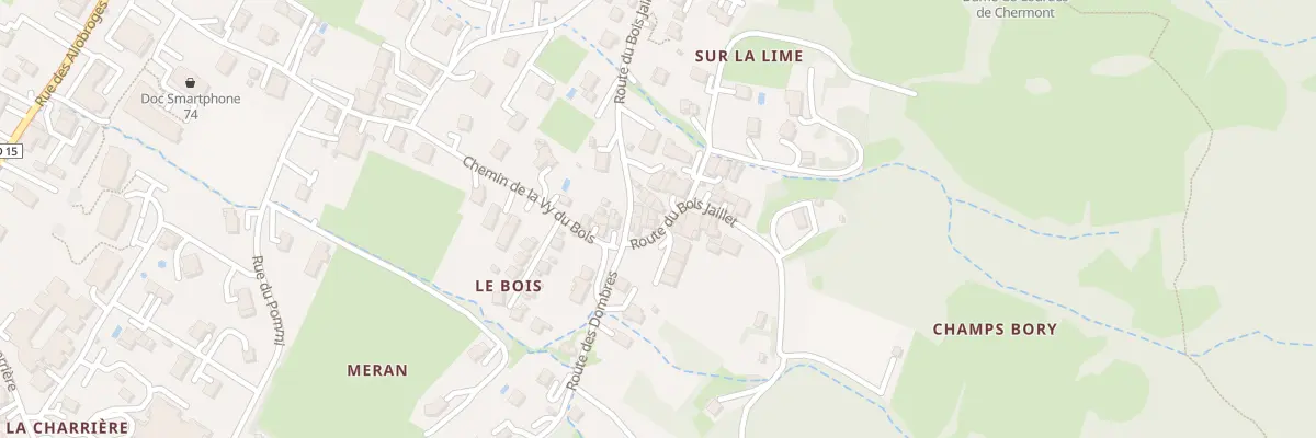 Plan du 263 Rte du Bois Jaillet à Saint-Cergues
