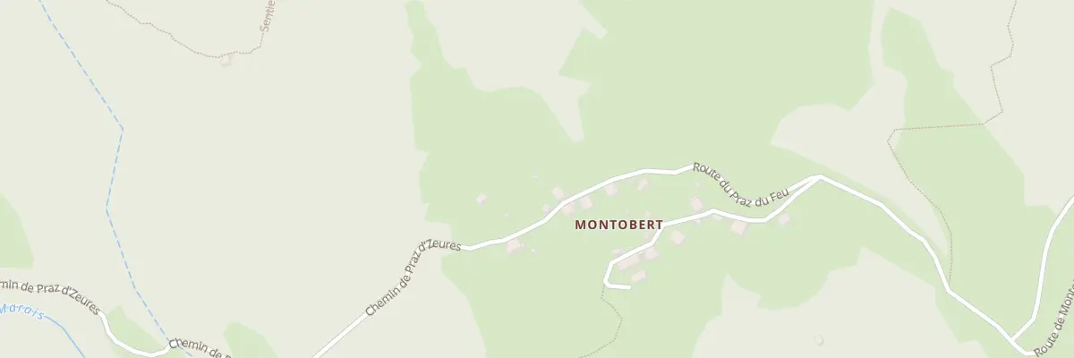 Plan du 304 Rte du Praz du Feu à Serraval