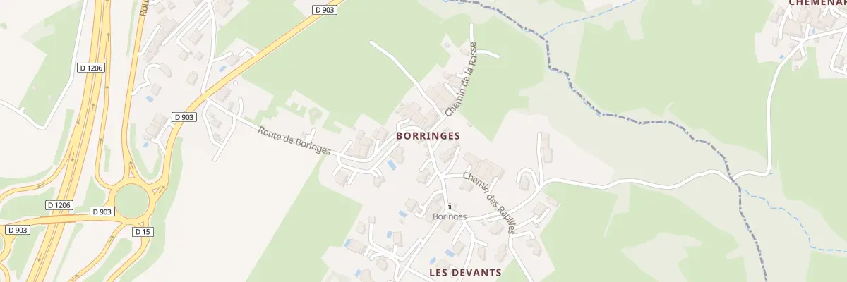 Plan du 477 Rte de Boringes à Saint-Cergues
