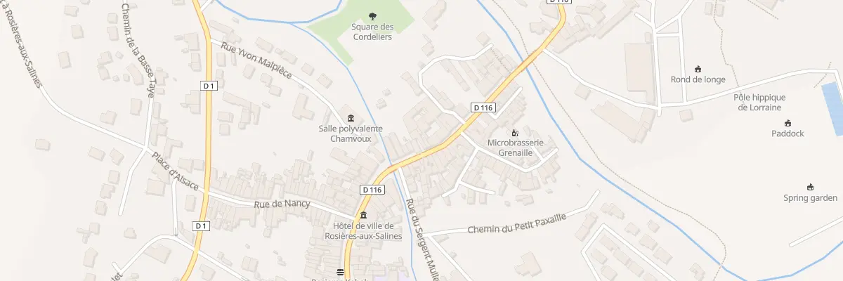 Plan du 10 Rue Colonel Thiebaut à Rosières-aux-Salines