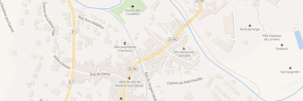Plan du 12 Rue Colonel Thiebaut à Rosières-aux-Salines
