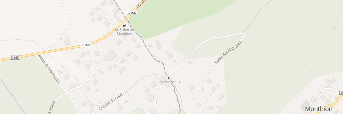Plan du 161T Rte des Moisseaux à Monthion