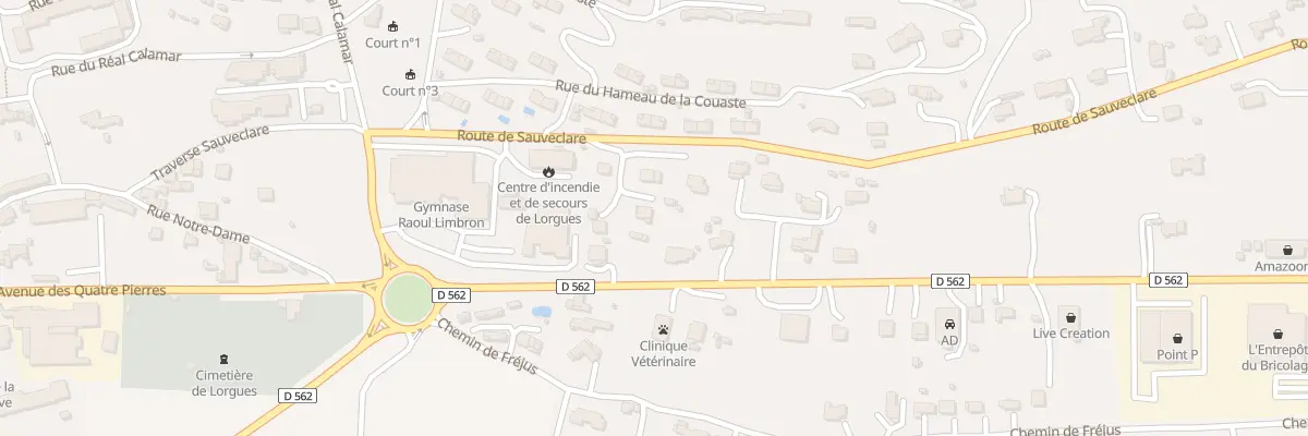 Plan du 186 Rte de Sauveclare à Lorgues