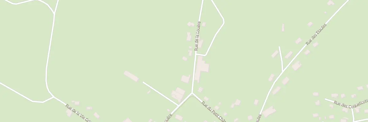 Plan du 21 Rue de la Louère à Arc-sous-Cicon