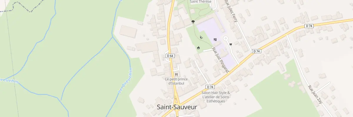 Plan du 9 Rue Edouard Herriot à Saint-Sauveur