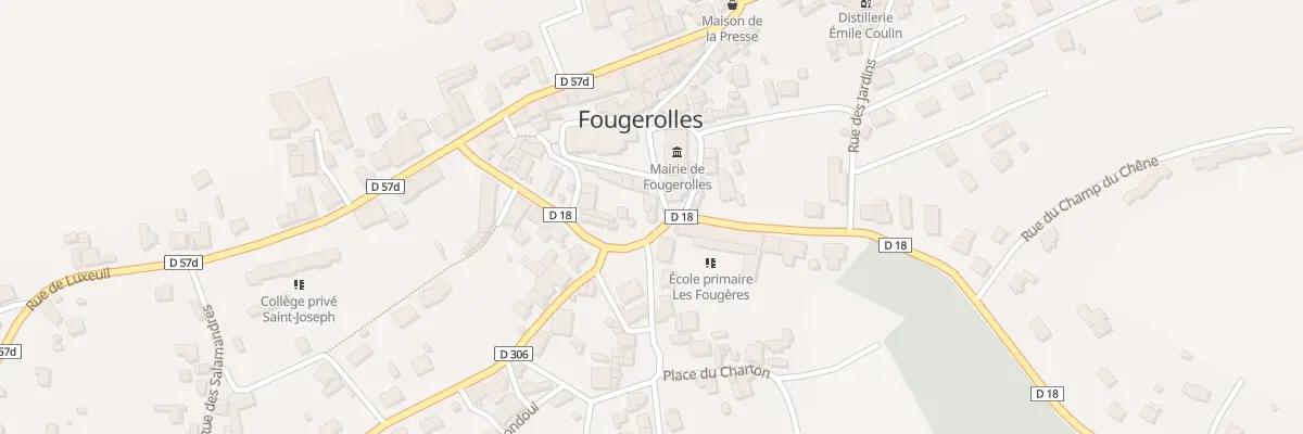 Plan du 19 Rue de Blanzey à Fougerolles-Saint-Valbert