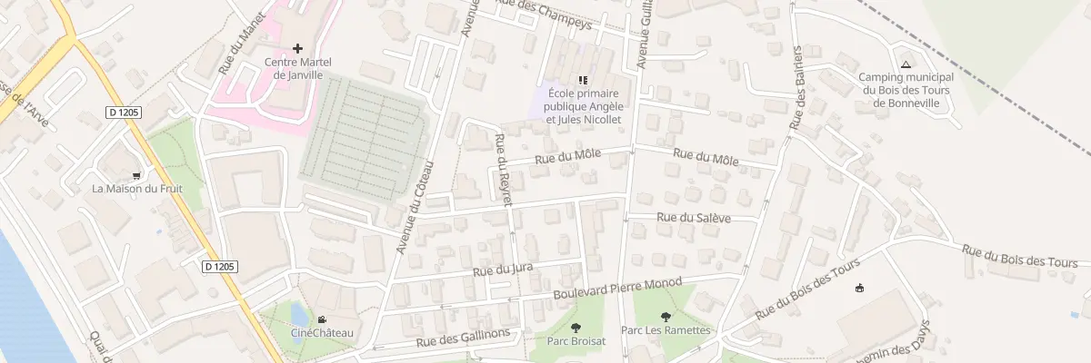 Plan du 119 Rue vincent bouvard à Bonneville