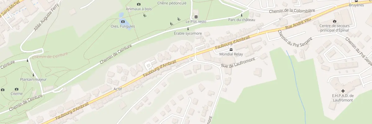 Plan du 2 Rue de la Pelle à Épinal
