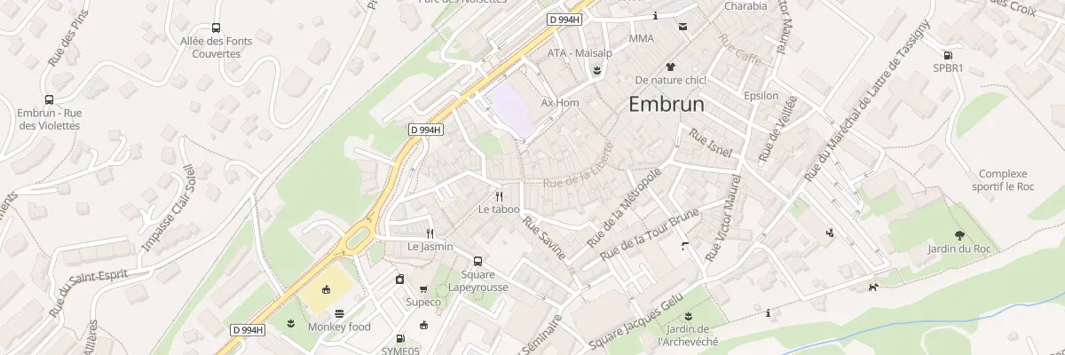 Plan du 63 Rue de la Liberté à Embrun
