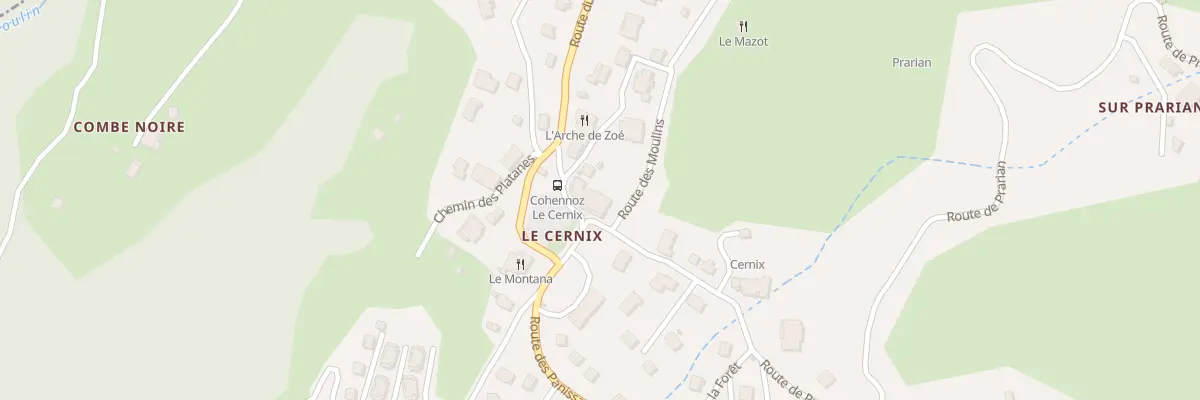 Plan du 101 Pl du Cernix à Cohennoz