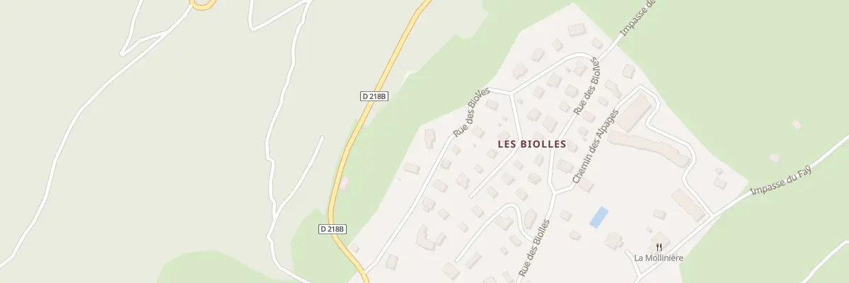 Plan du 163 Rue des Biolles à Notre-Dame-de-Bellecombe