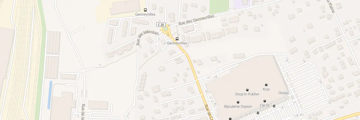 Plan du 341 Rue de Cartheray à Publier