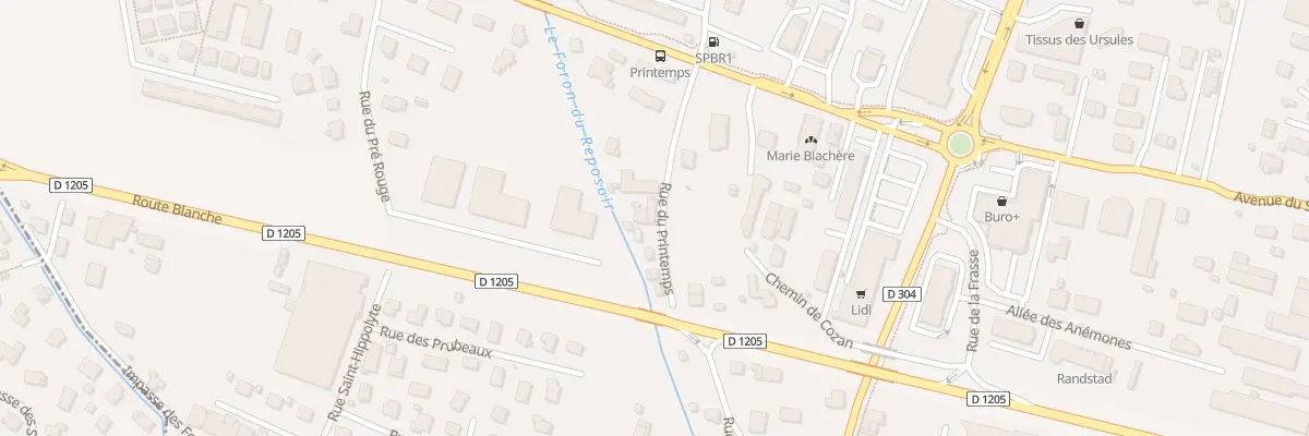 Plan du 5 Rue du Printemps à Scionzier