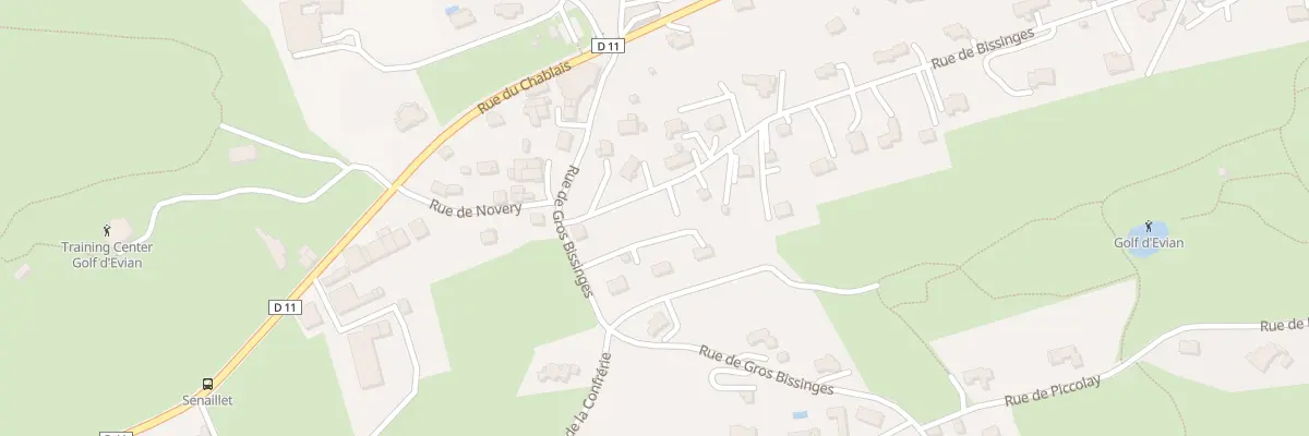 Plan du 74 Rue de Bissinges à Publier