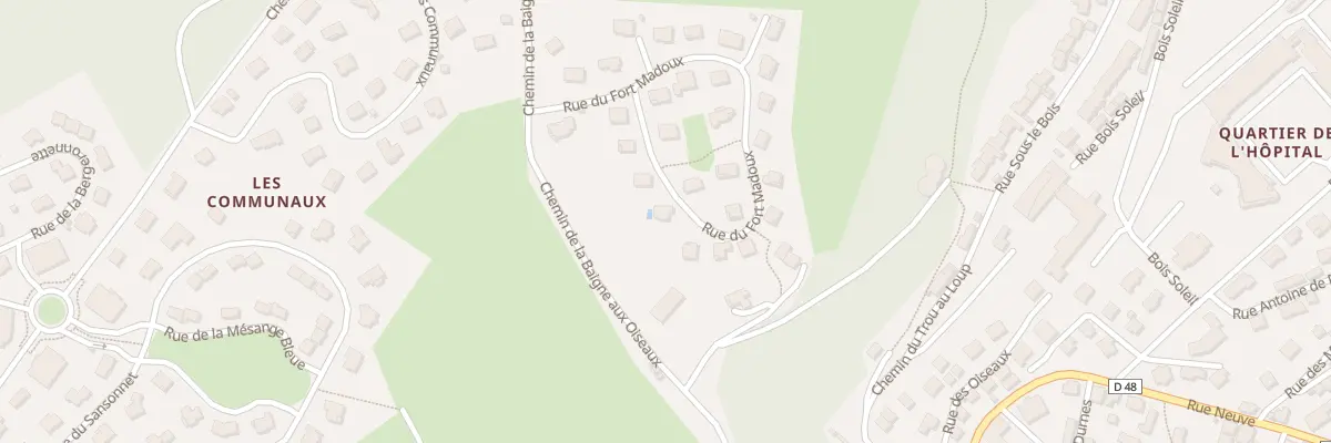 Plan du 10 Rue du Fort Madoux à Morteau