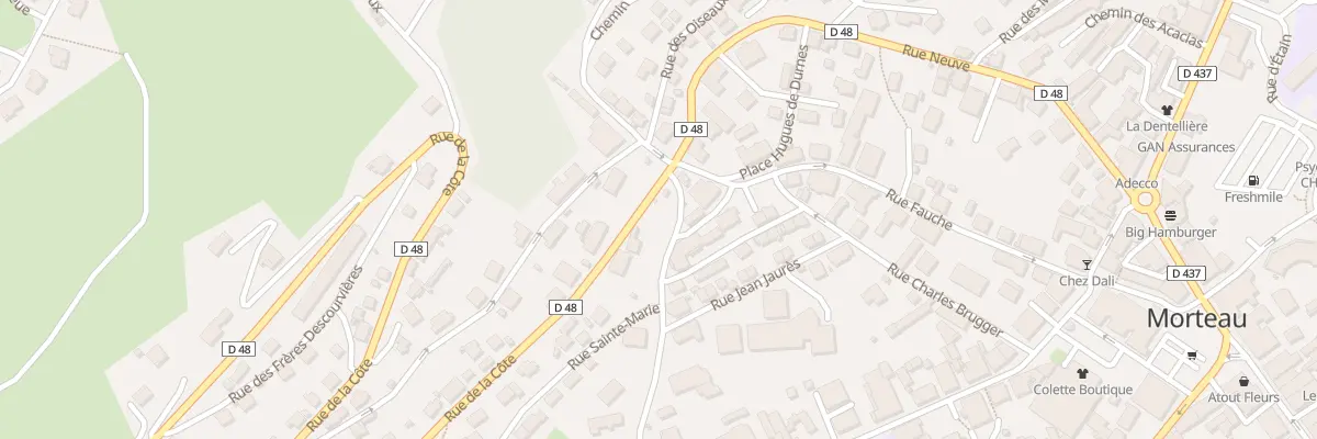 Plan du 1 Rue de la Côte à Morteau