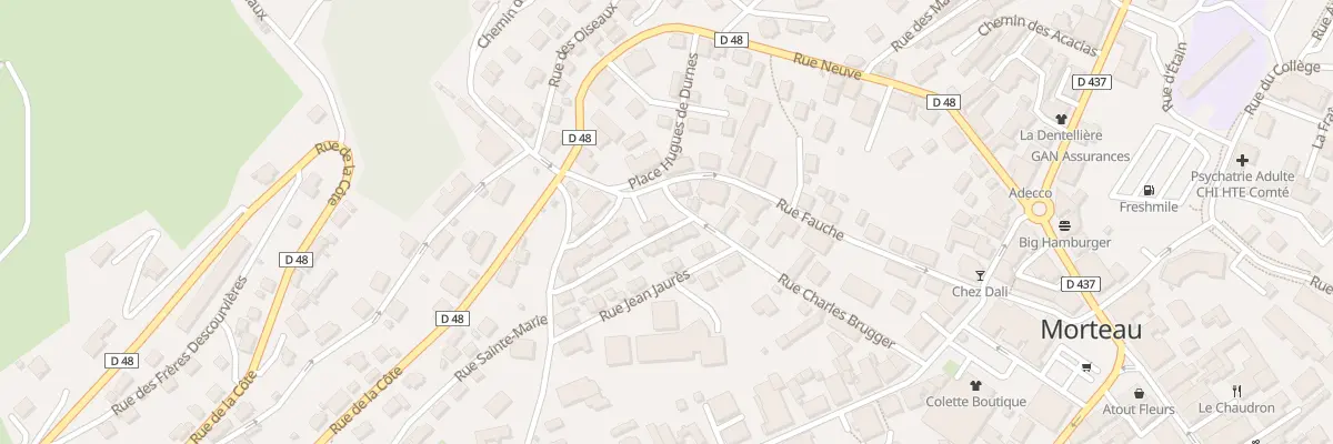 Plan du 25 Rue Charles Brügger à Morteau