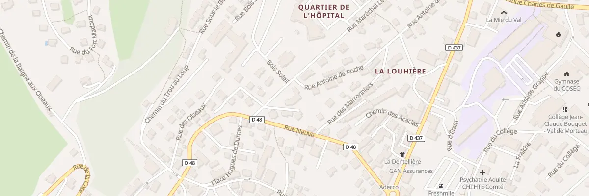 Plan du 2 Rue du Maréchal Leclerc à Morteau