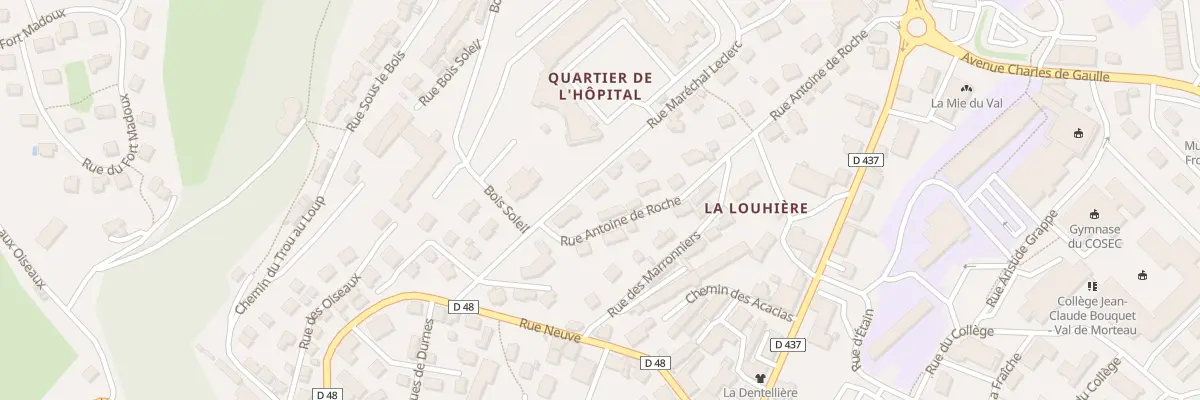 Plan du 6 Rue du Maréchal Leclerc à Morteau
