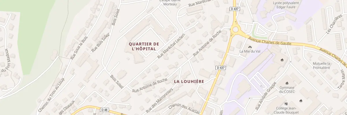 Plan du 10T Rue du Maréchal Leclerc à Morteau