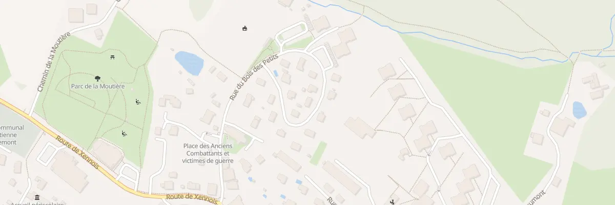 Plan du 30 Rue du Bois des Petits à Saint-Étienne-lès-Remiremont