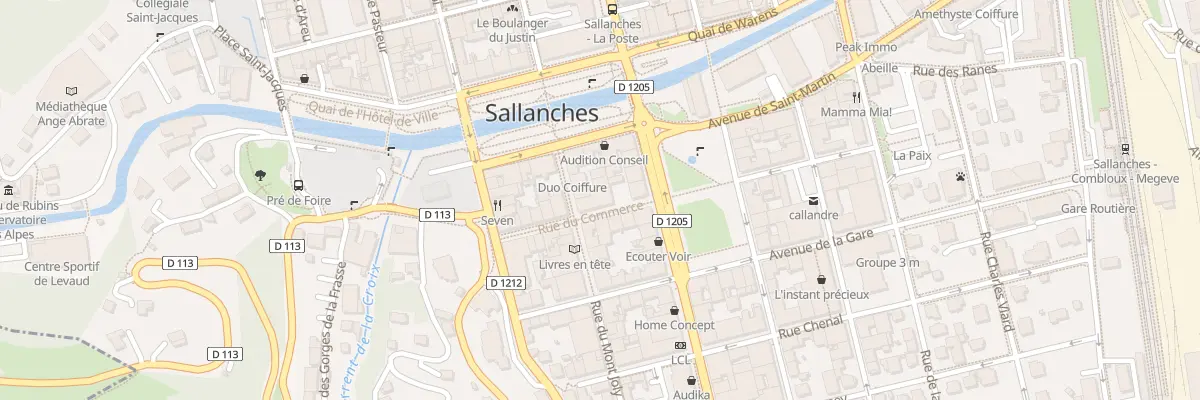 Plan du 45 Rue du Mont Joly à Sallanches