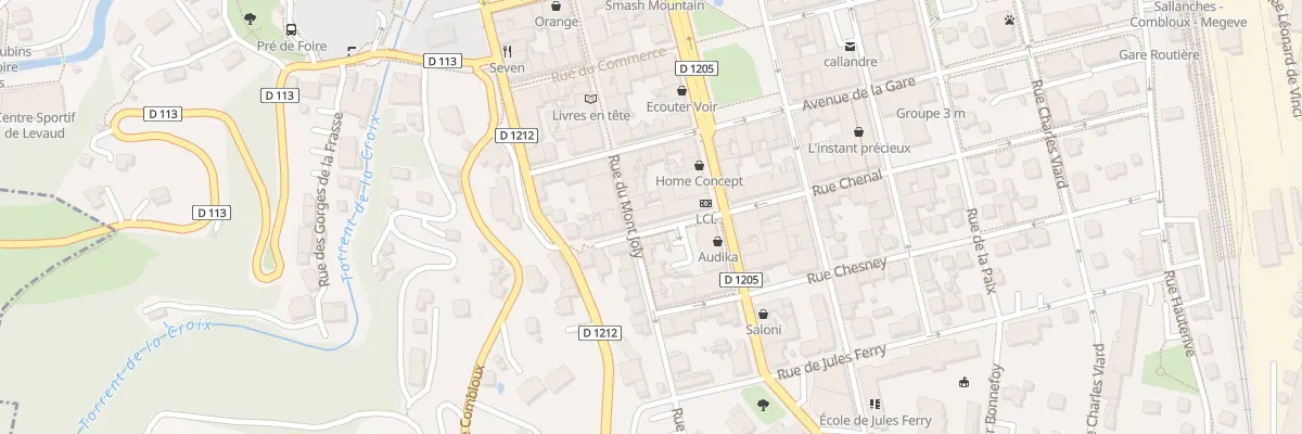 Plan du 177 Rue du Mont Joly à Sallanches