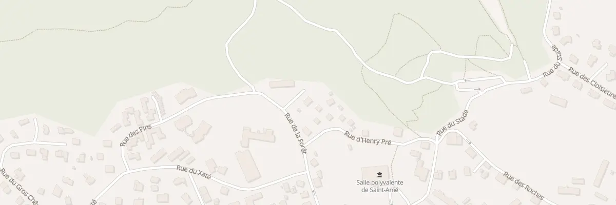 Plan du 12 Rue de la Forêt à Saint-Amé
