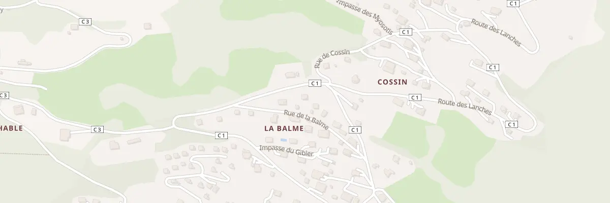 Plan du 101 Rue de la Balme à Verchaix