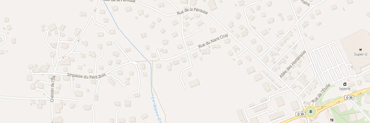 Plan du 145 Rue du nant cruy à Passy