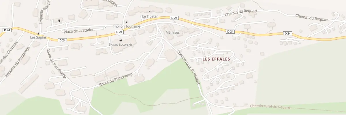 Plan du 456 Rte du Planchamp à Thollon-les-Mémises