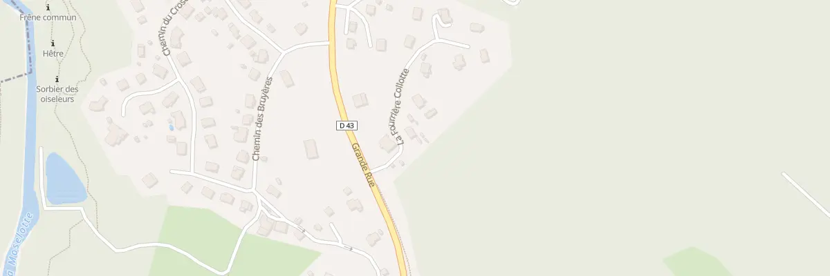 Plan du 4 La Fourriere Collotte à Thiéfosse