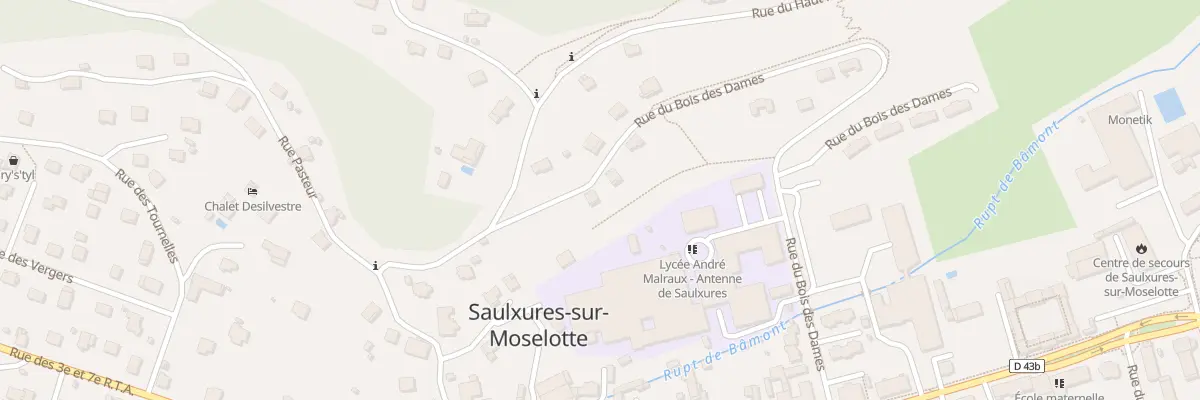 Plan du 603 Rue du Bois des Dames à Saulxures-sur-Moselotte
