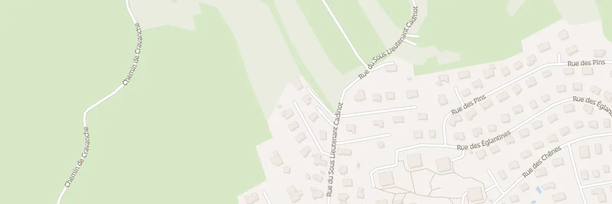 Plan du 299 Rue du Sous-Lieutenant Cadinot à Essert