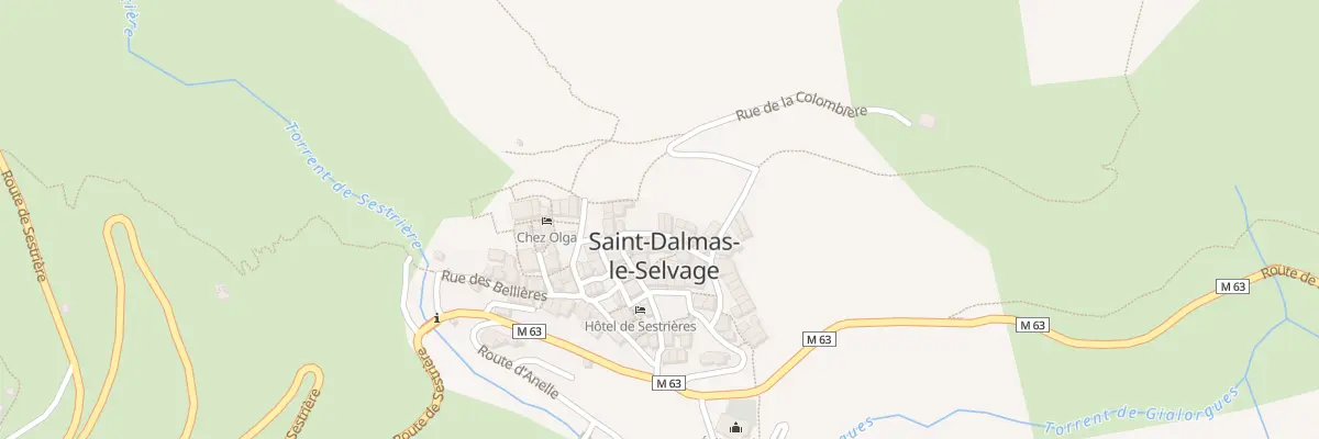 Plan du 5131 Le Village à Saint-Dalmas-le-Selvage