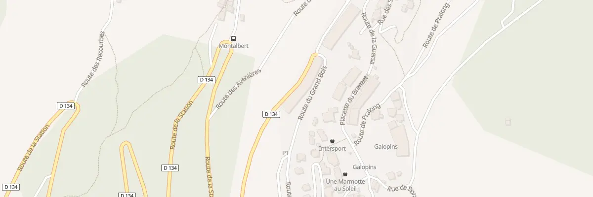 Plan du 2480F Le Grand Bois à Sainte-Foy-Tarentaise