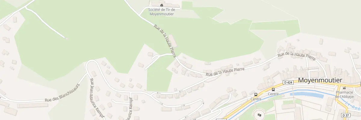 Plan du 40 Rue De La Haute Pierre à Moyenmoutier