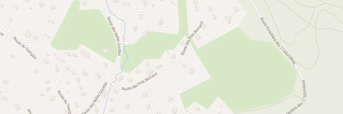 Plan du 203 Rte des Prés Bernard à Xonrupt-Longemer