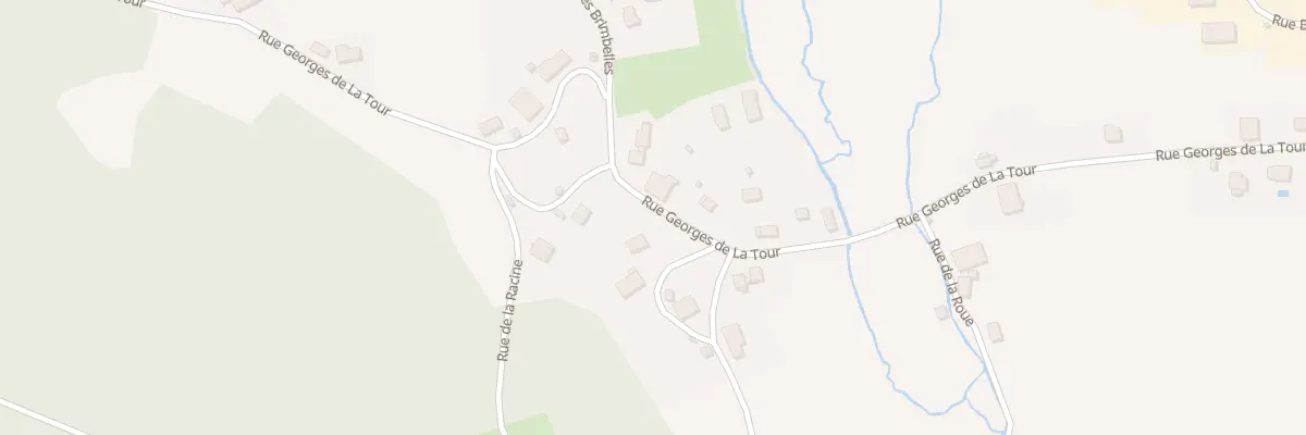 Plan du 786 Rue Georges de la Tour à Anould