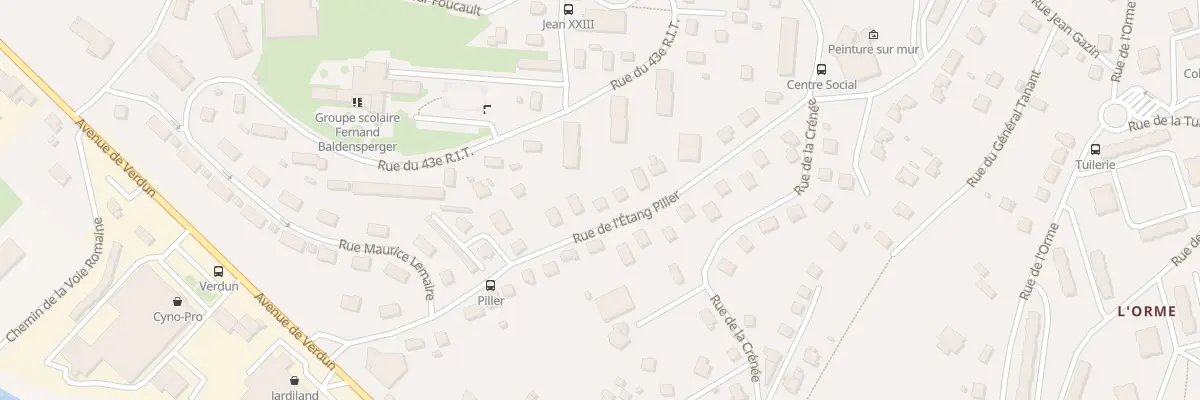 Plan du 19 Rue de l’Etang Piller à Saint-Dié-des-Vosges