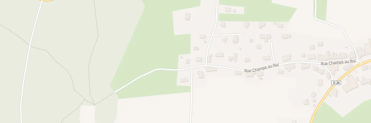 Plan du 30 Rue Champs au Roi à Saint-Dizier-l’Évêque