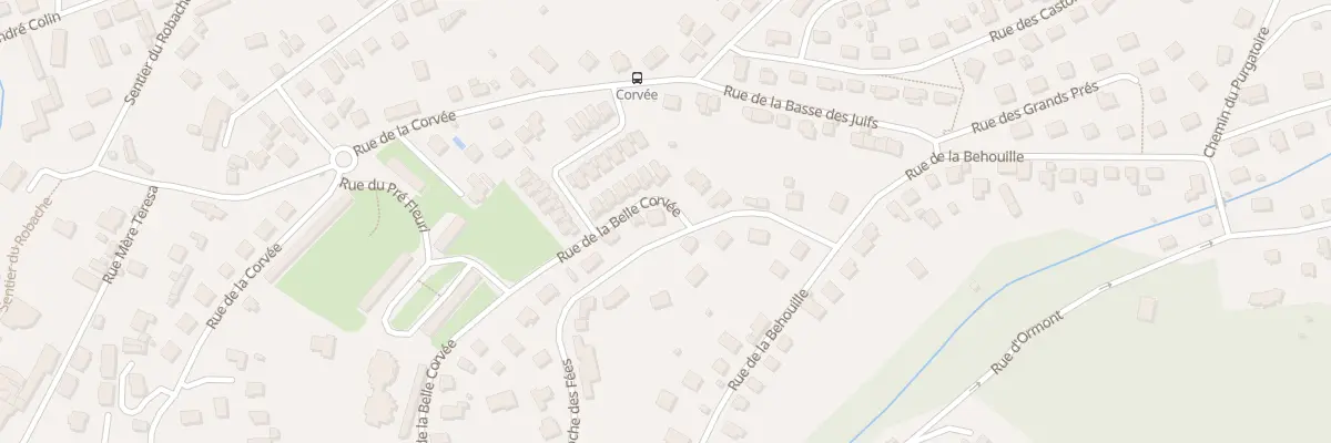 Plan du 43 Rue de la Roche des Fées à Saint-Dié-des-Vosges