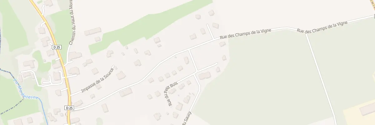 Plan du 23 Rue du Saucy à Bethonvilliers