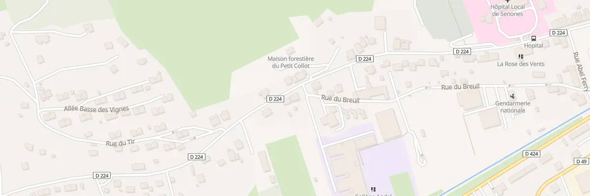 Plan du 39 Rue du Président Poincaré à Senones