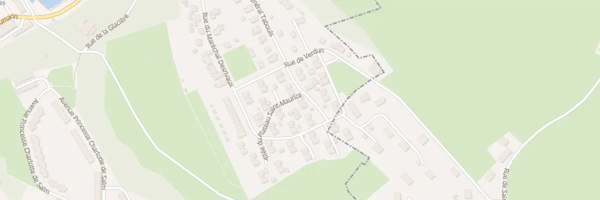 Plan du 19 All du Plateau Saint-maurice à Senones