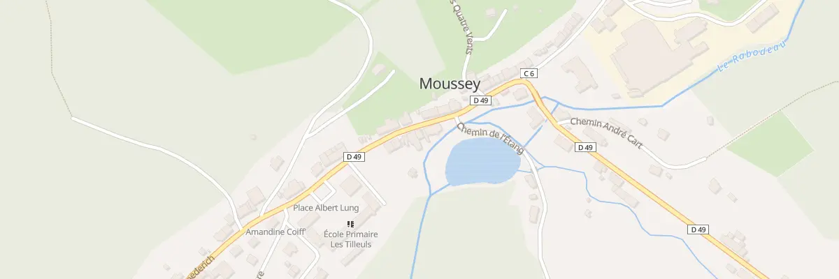 Plan du 74 Rue René Laederich à Moussey